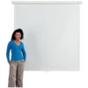 Eyeline Basic Wall Mounted Projection Screens