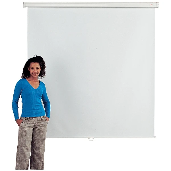 Eyeline Basic Wall Mounted Projection Screens 1 Eyeline Basic Wall Mounted Projection Screens