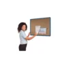 Coloured Frame Cork Shield Noticeboards