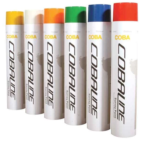 Coba Survey Paint 1 Coba Survey Paint