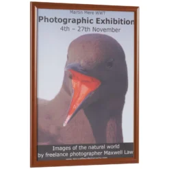 Busygrip Wood Look Poster Frames