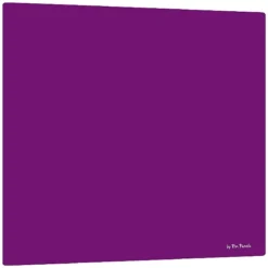Pin Panelz Pantone Noticeboards