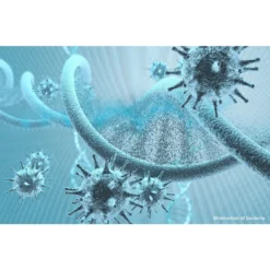 Coba Entra-Clean HygienePlus -Rubbermaid Shop 110410